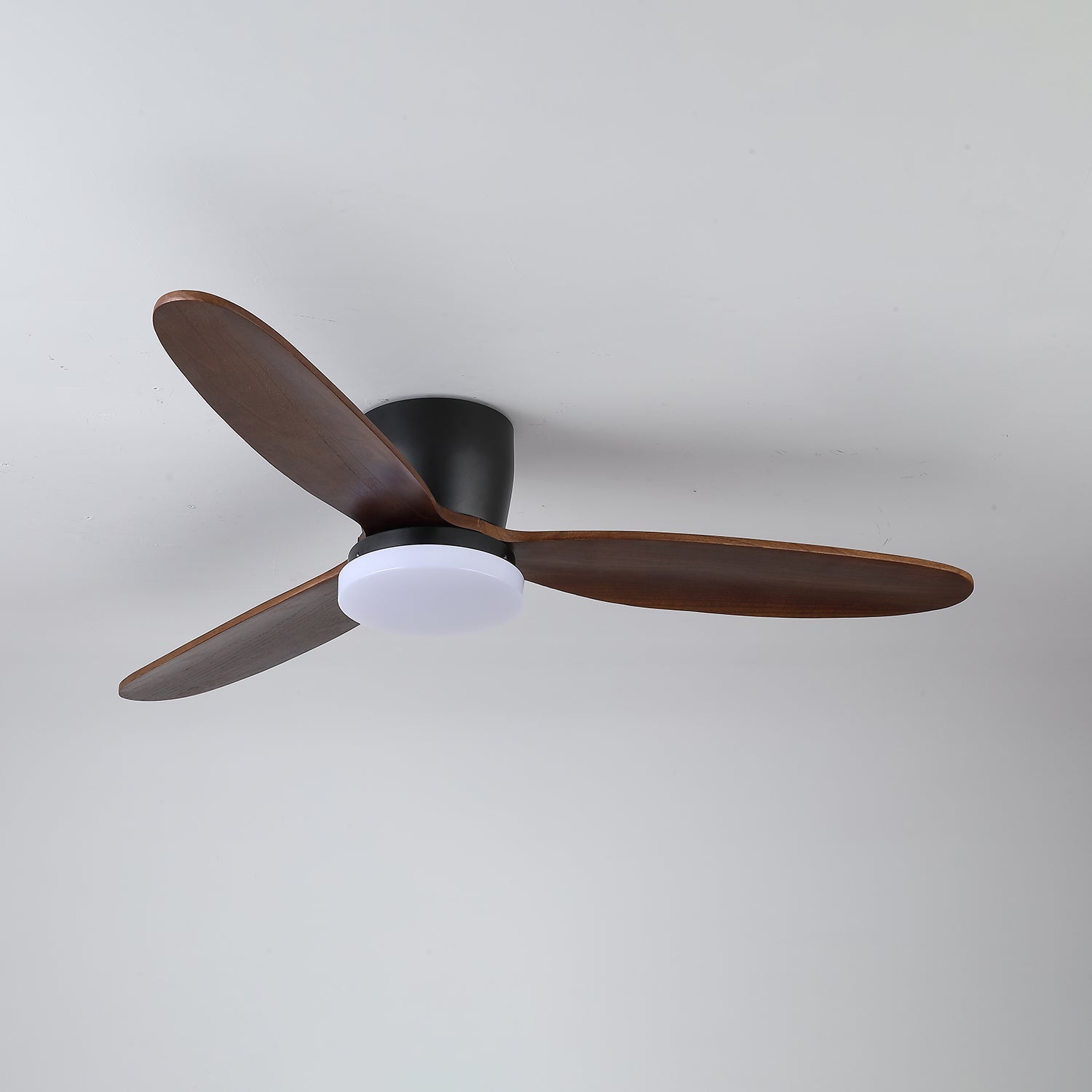 Ventilateur de plafond Quiona