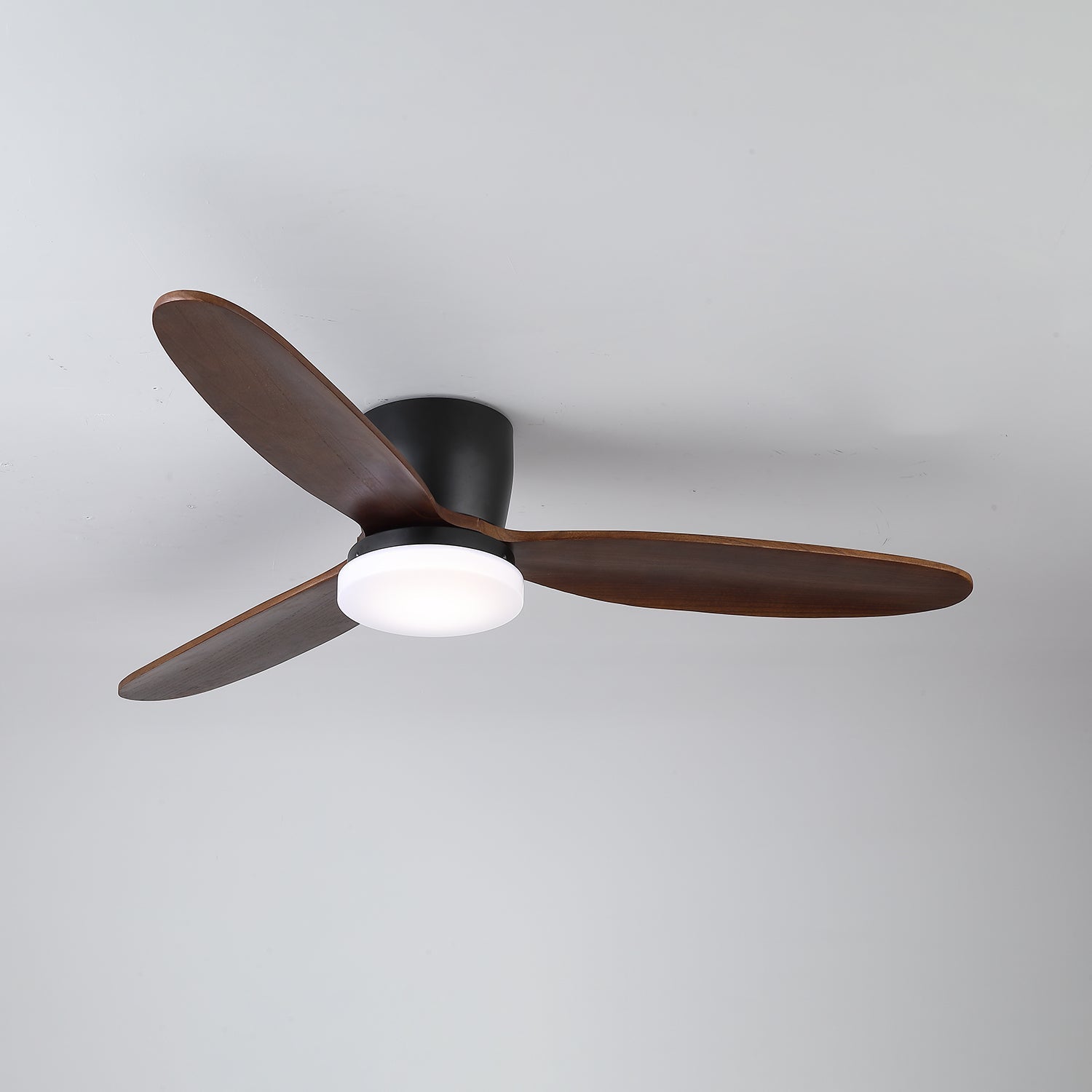Ventilateur de plafond Quiona