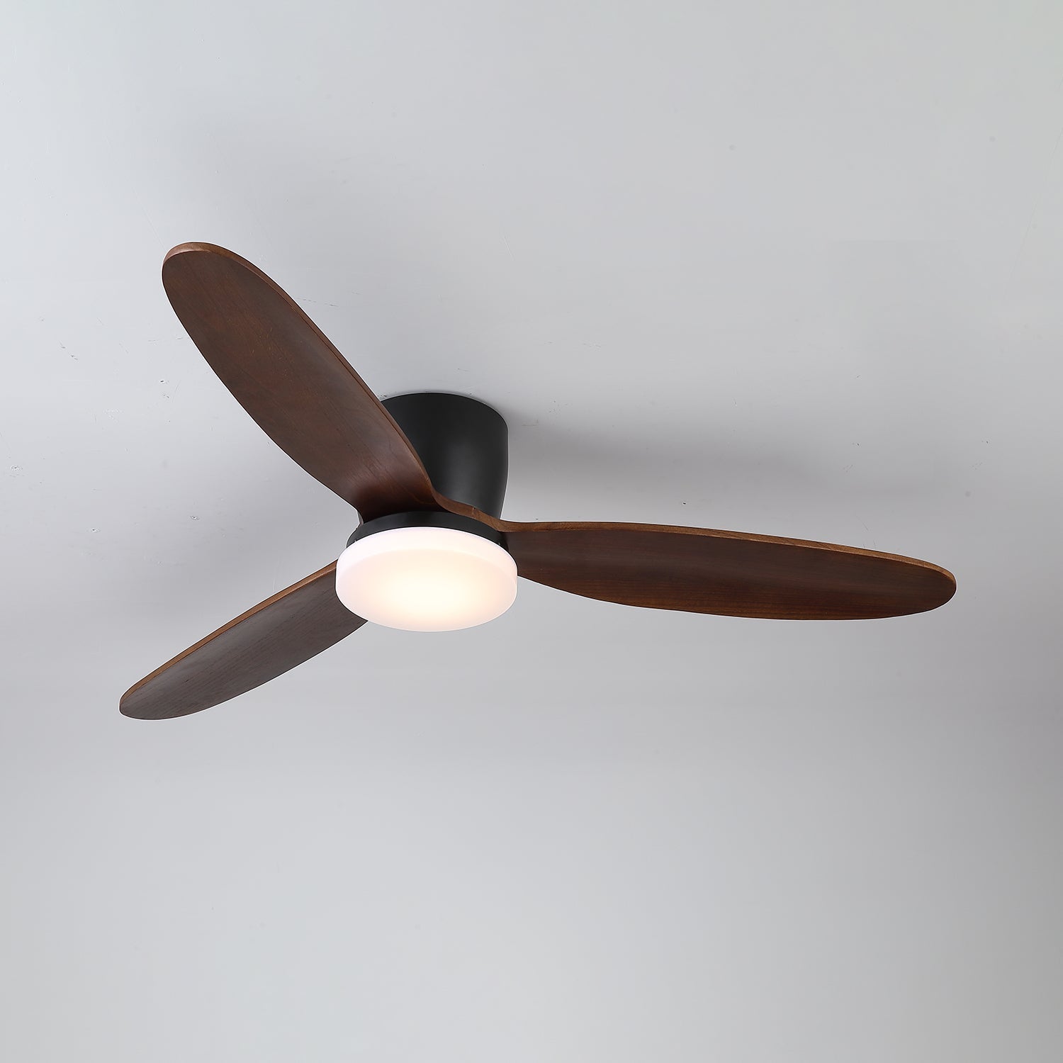 Ventilateur de plafond Quiona