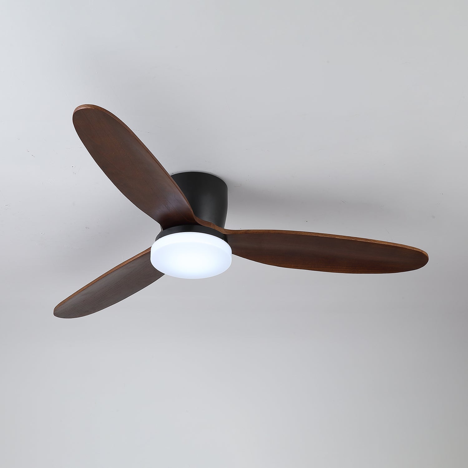 Ventilateur de plafond Quiona