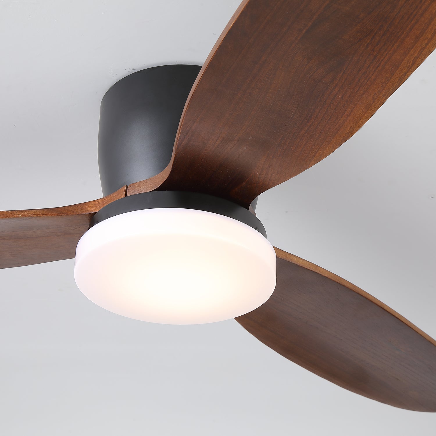 Ventilateur de plafond Quiona