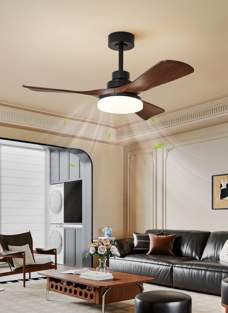 Ventilateur de plafond moderne Sorlunon