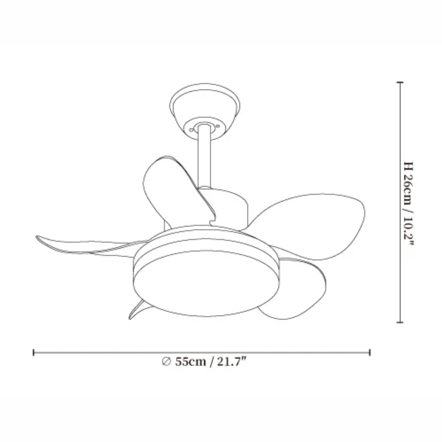 Ventilateur de plafond Lilienova