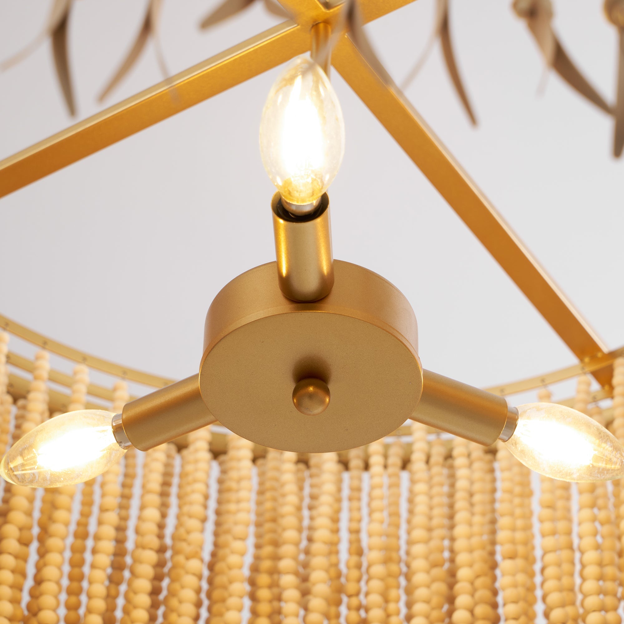 Lustre Yodorovia