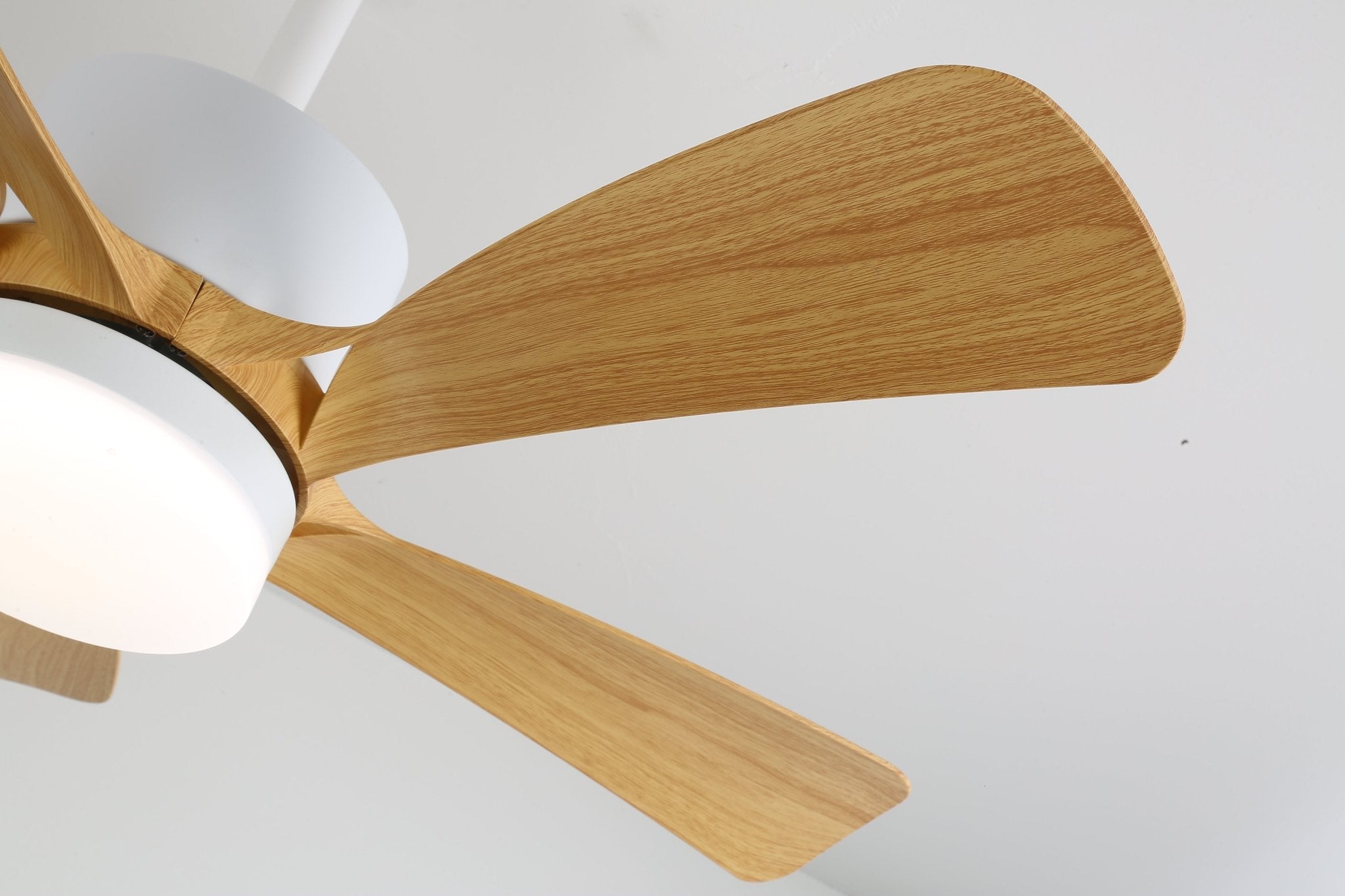 Ventilateur de plafond Kovale