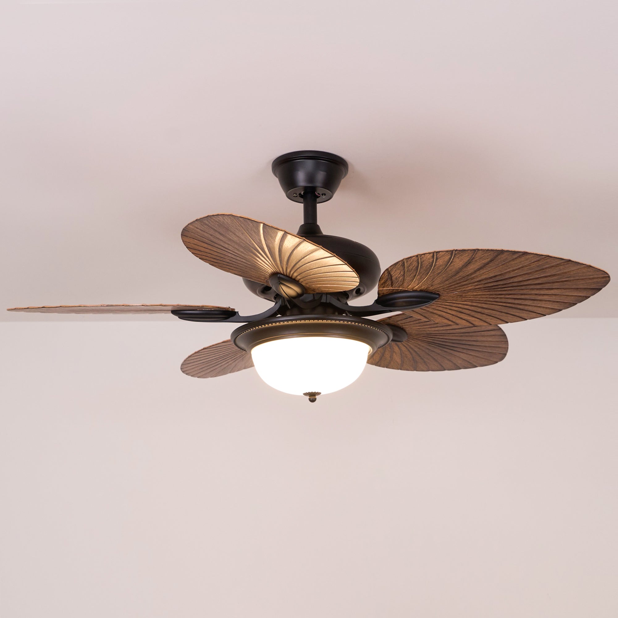 Ventilateur de plafond Raavel