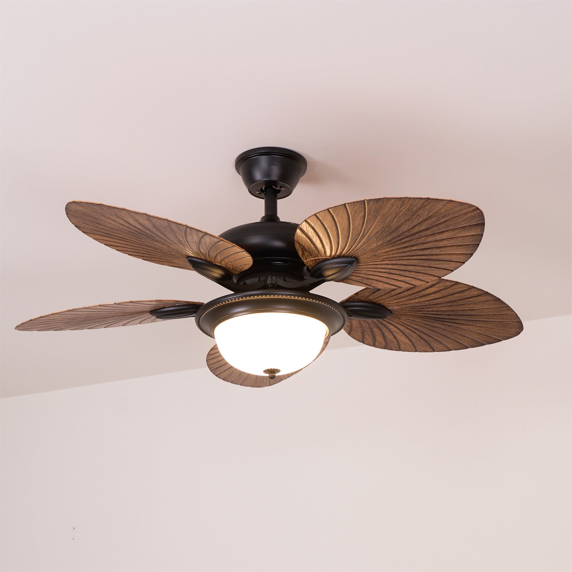 Ventilateur de plafond Raavel
