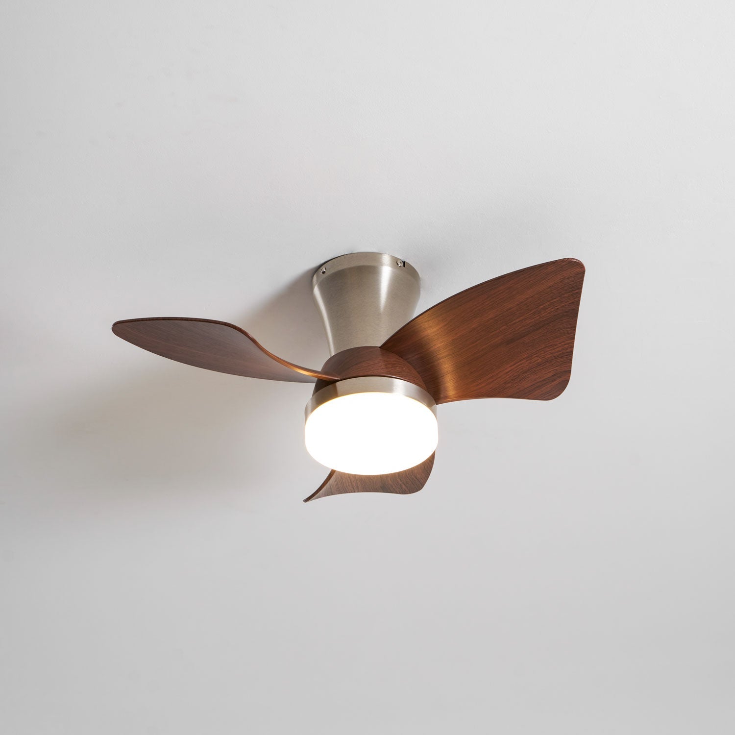 Ventilateur de plafond Sorielis