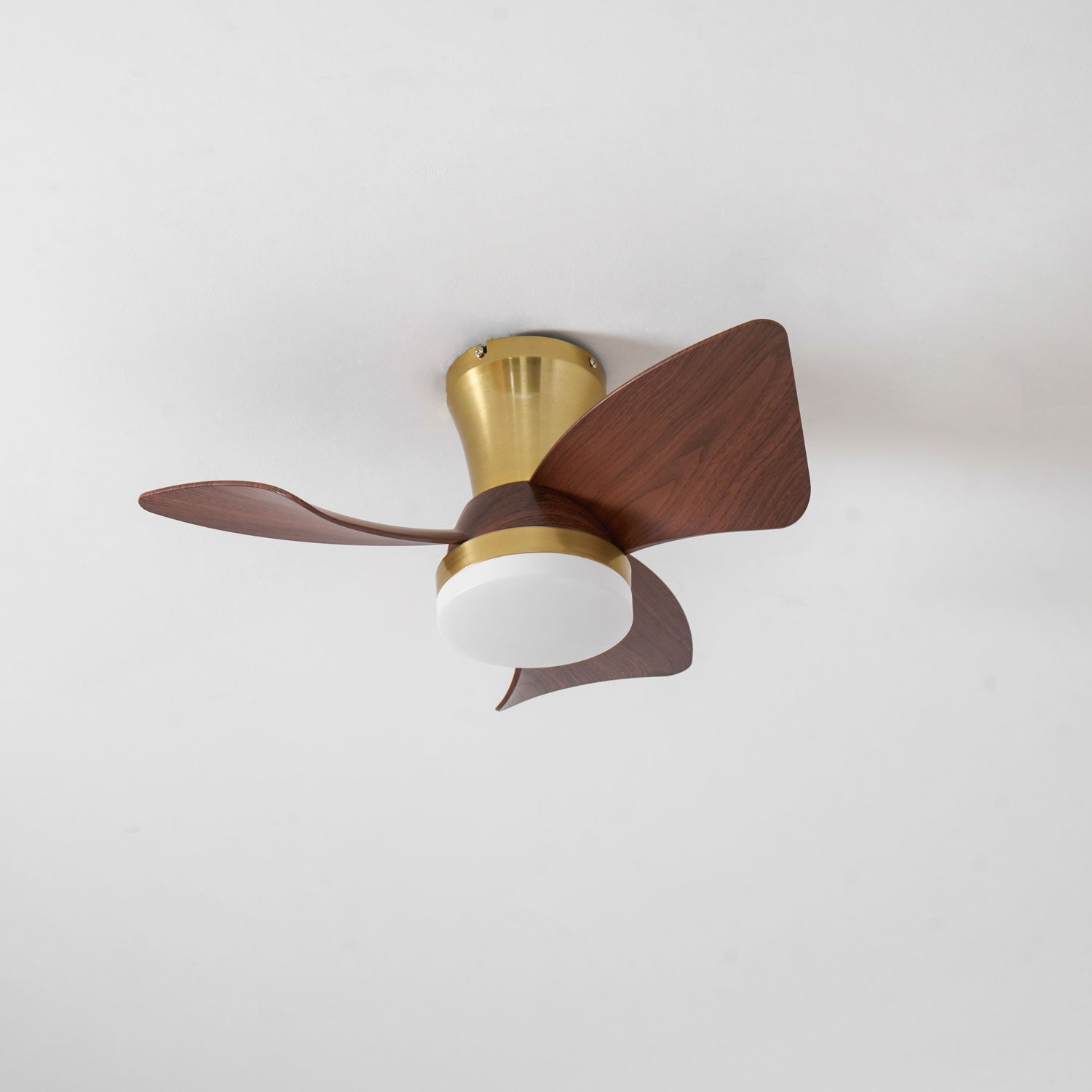 Ventilateur de plafond Sorielis