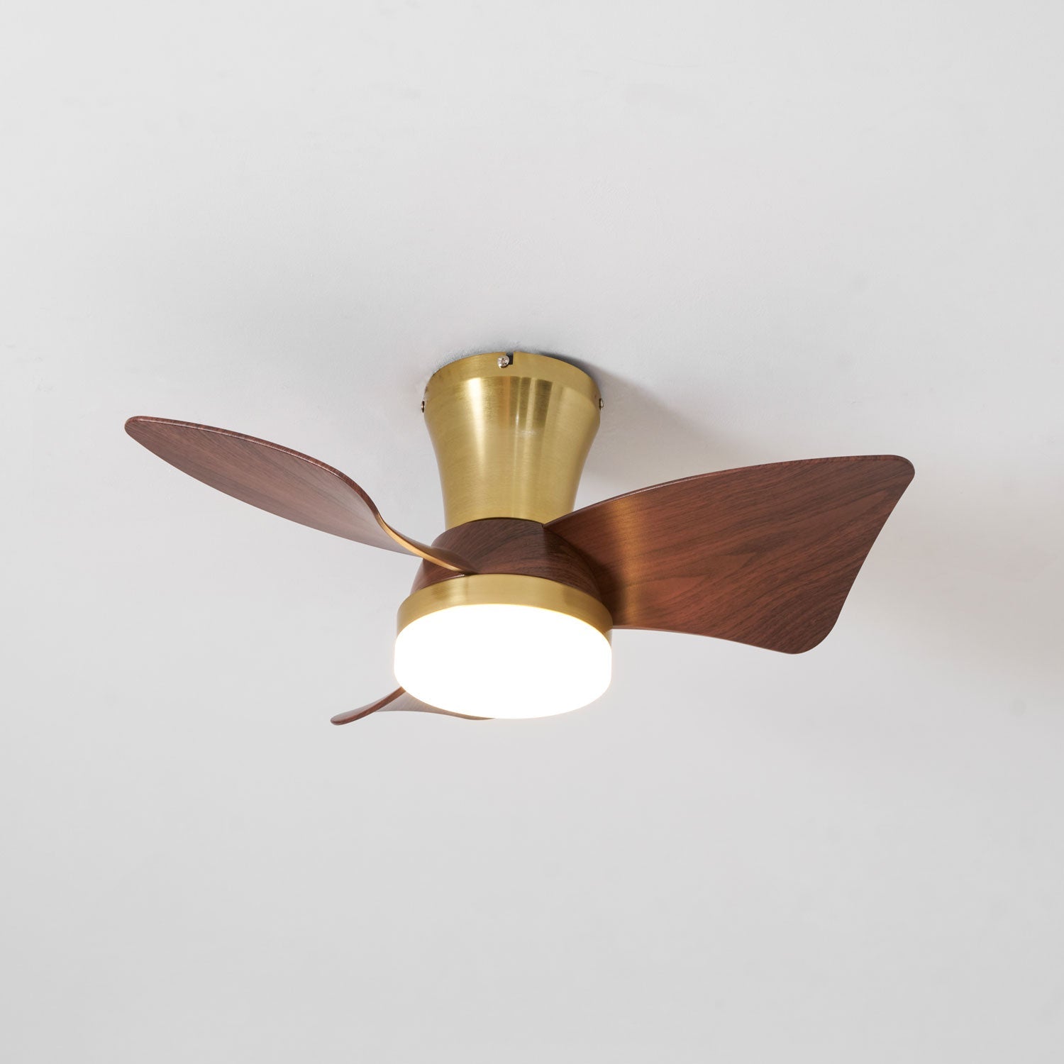 Ventilateur de plafond Sorielis