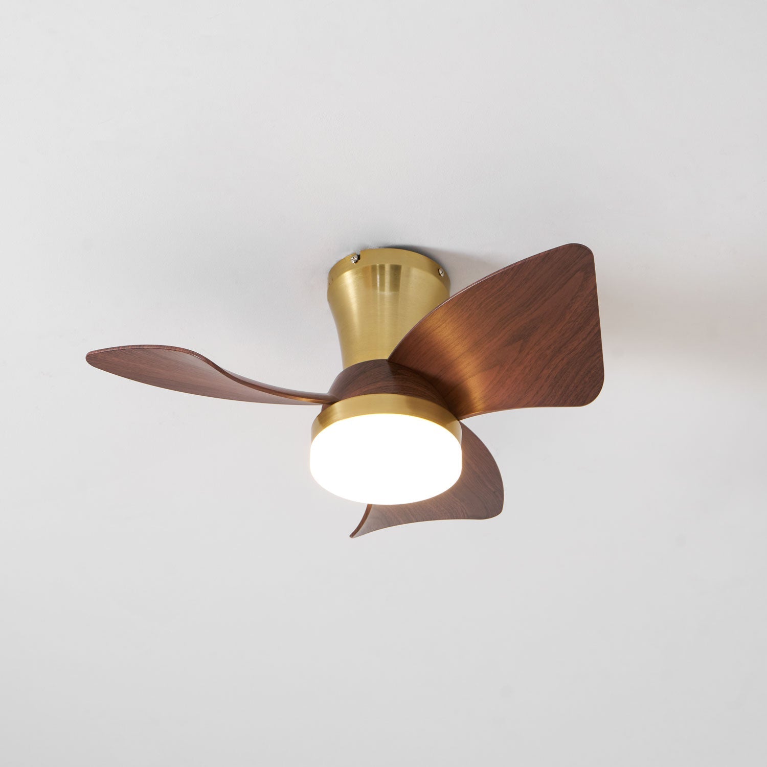 Ventilateur de plafond Sorielis