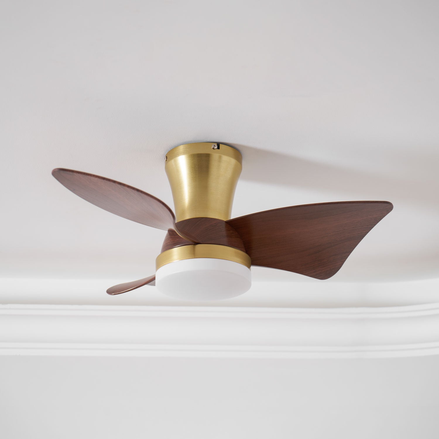 Ventilateur de plafond Sorielis