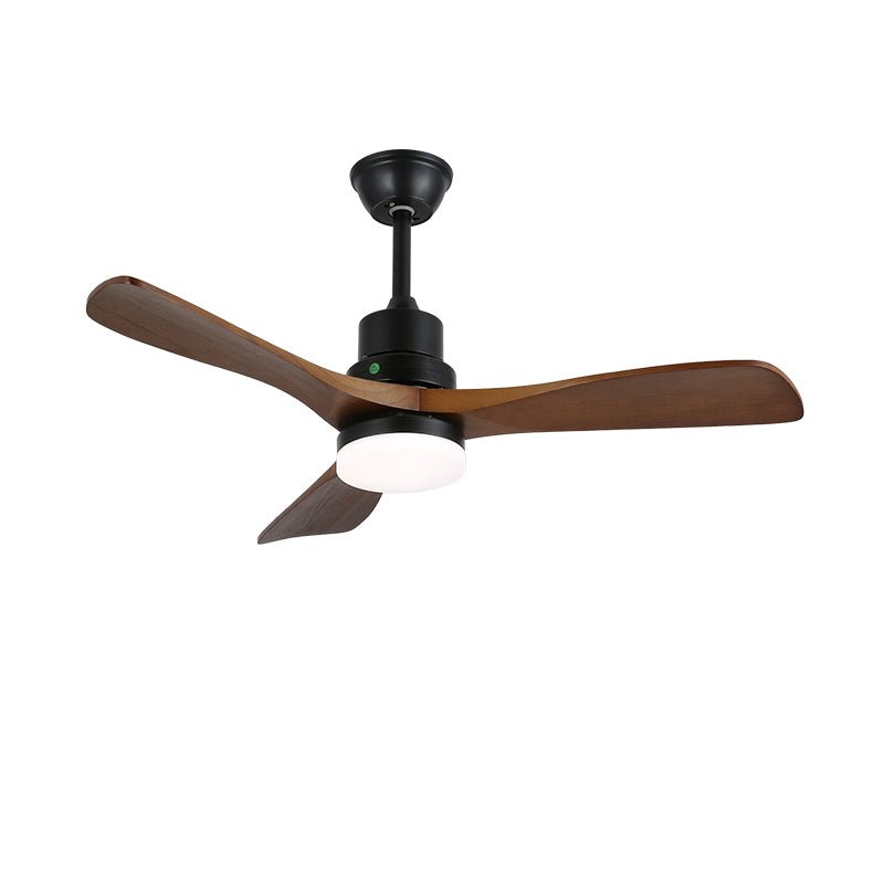 Ventilateur de plafond Delluxor