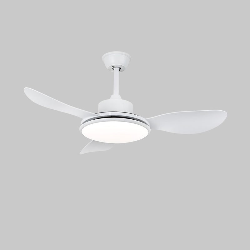 Ventilateur de plafond Ruereno