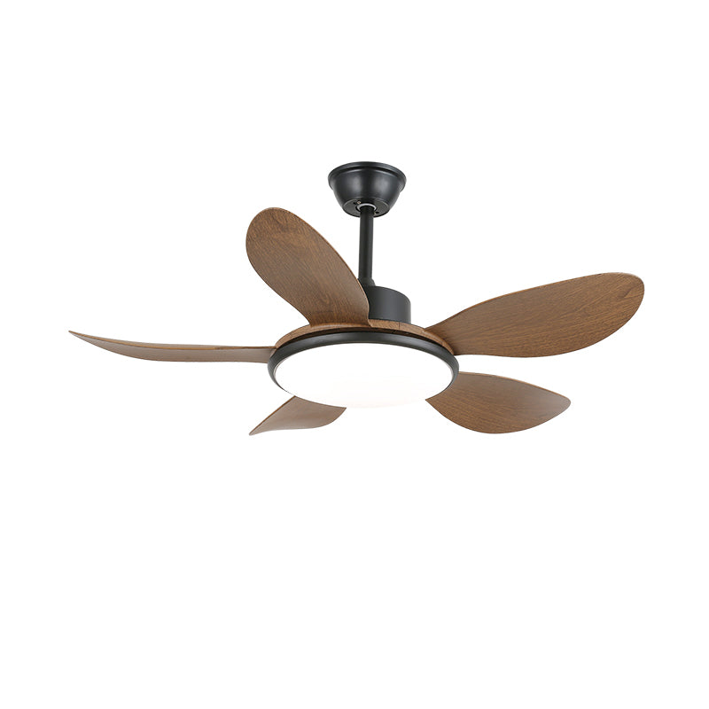 Ventilateur de plafond Ruereno