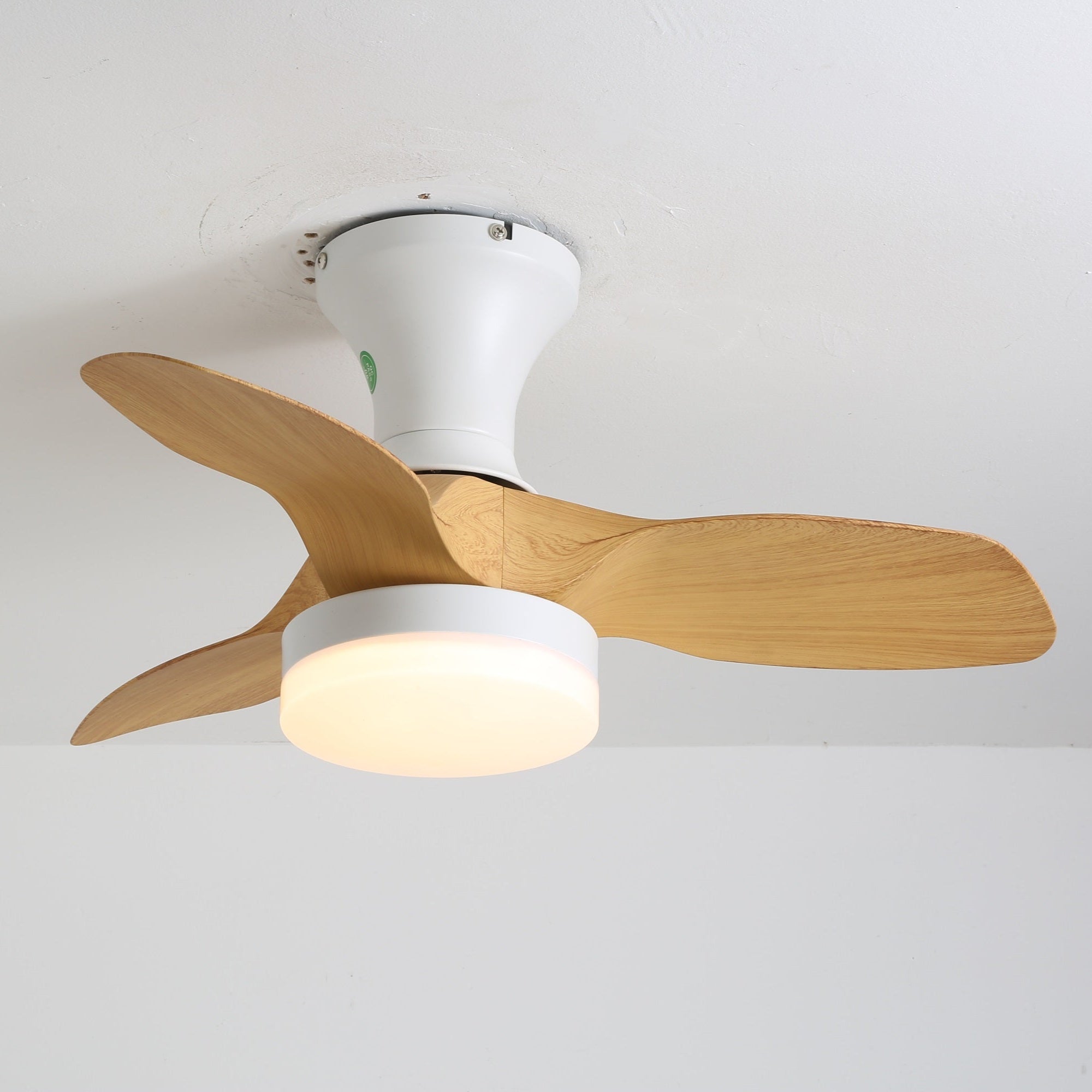 Ventilateur de plafond Rosovor