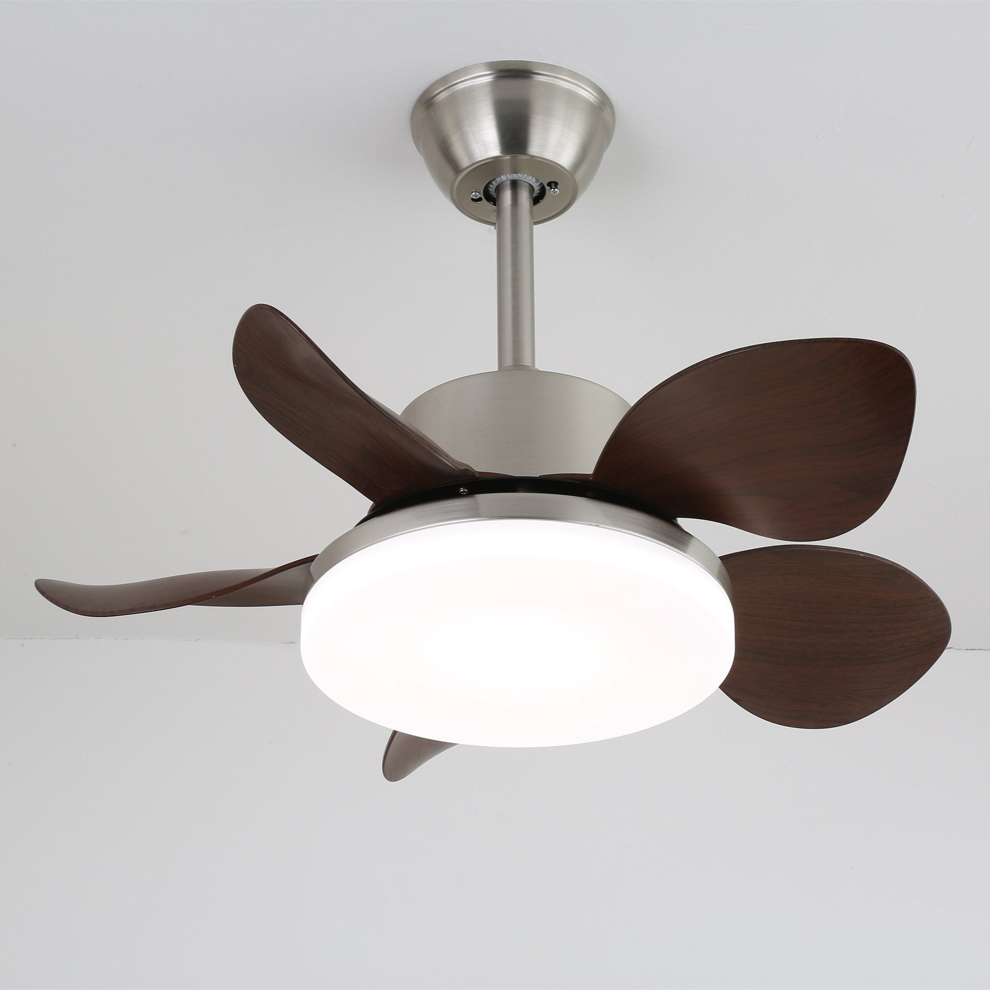 Ventilateur de plafond Lilienova