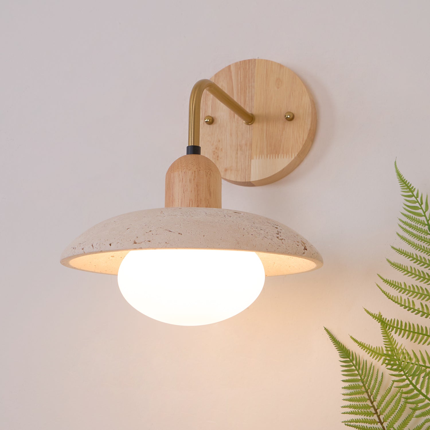 Applique Zoanoux
