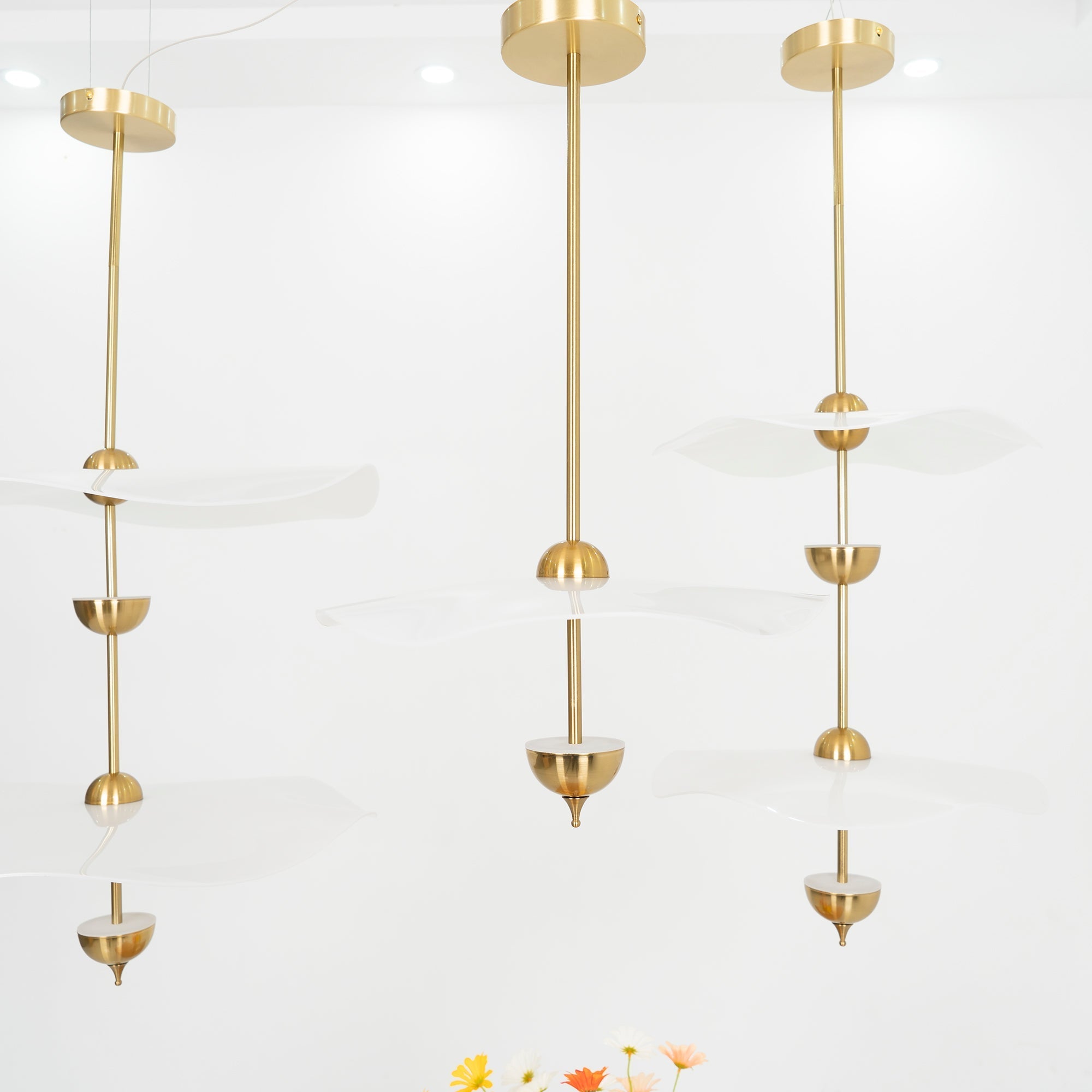 Suspension Velravor