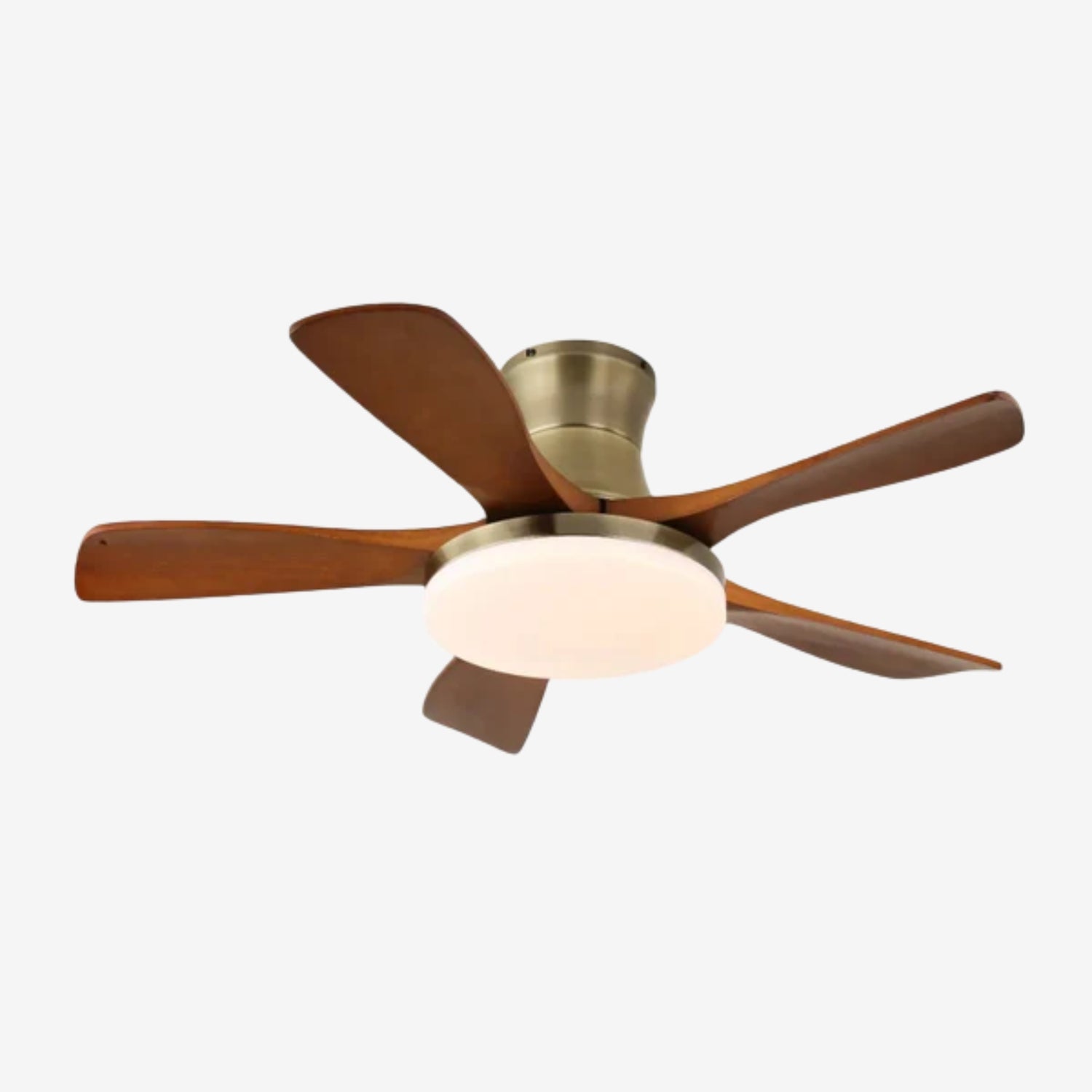 Ventilateur de plafond Iruneo