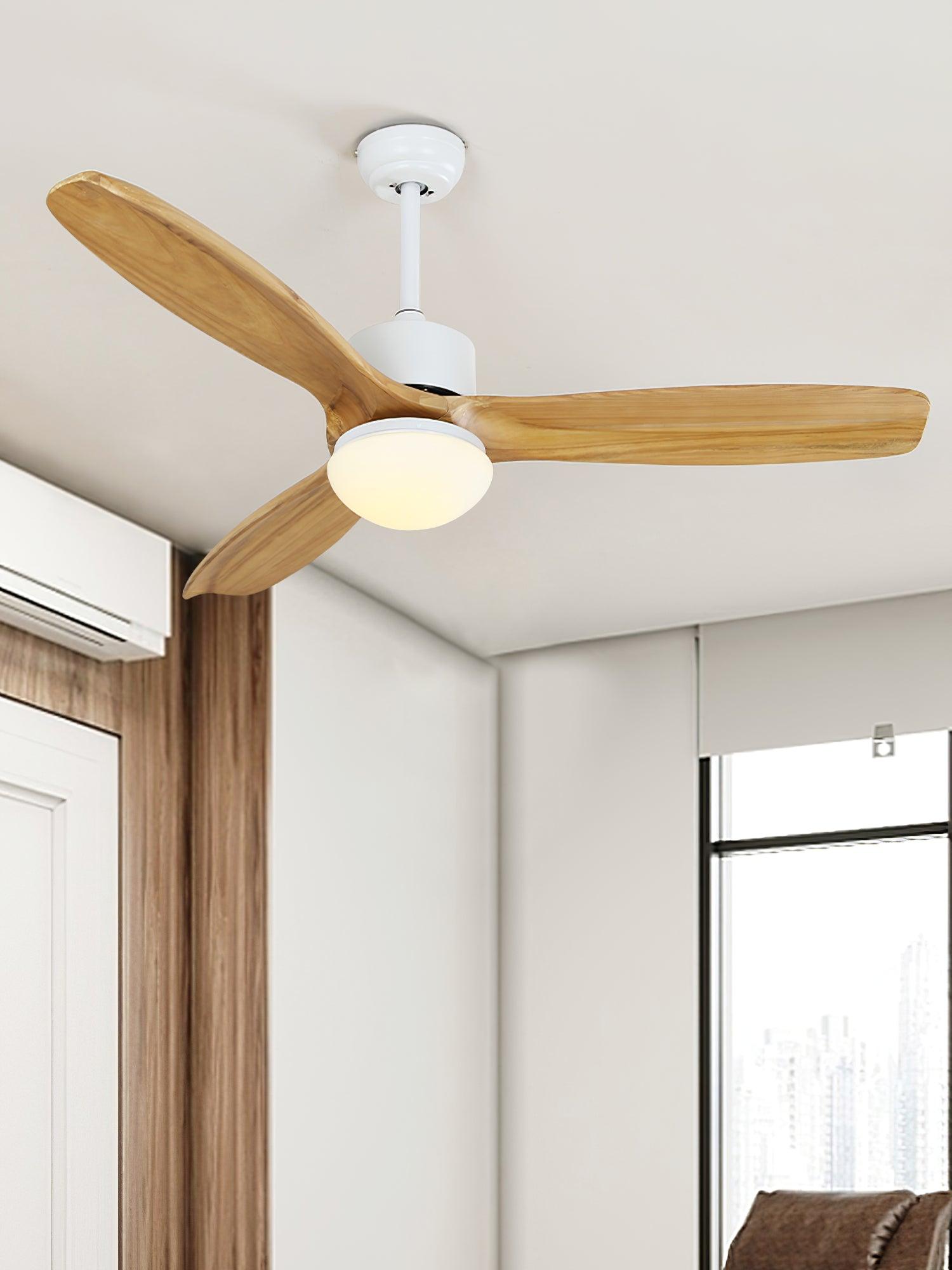 Ventilateur de plafond Duuiné