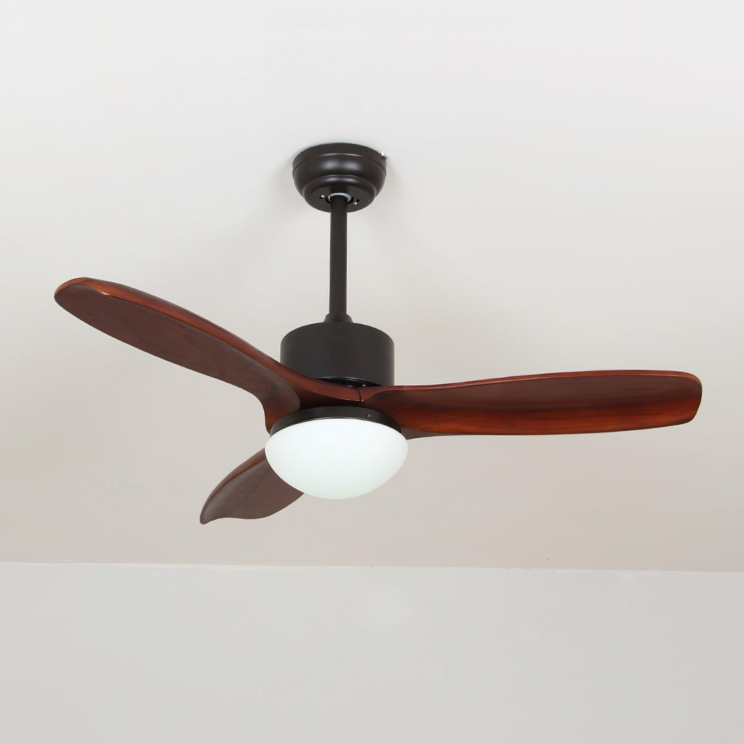 Ventilateur de plafond Duuiné