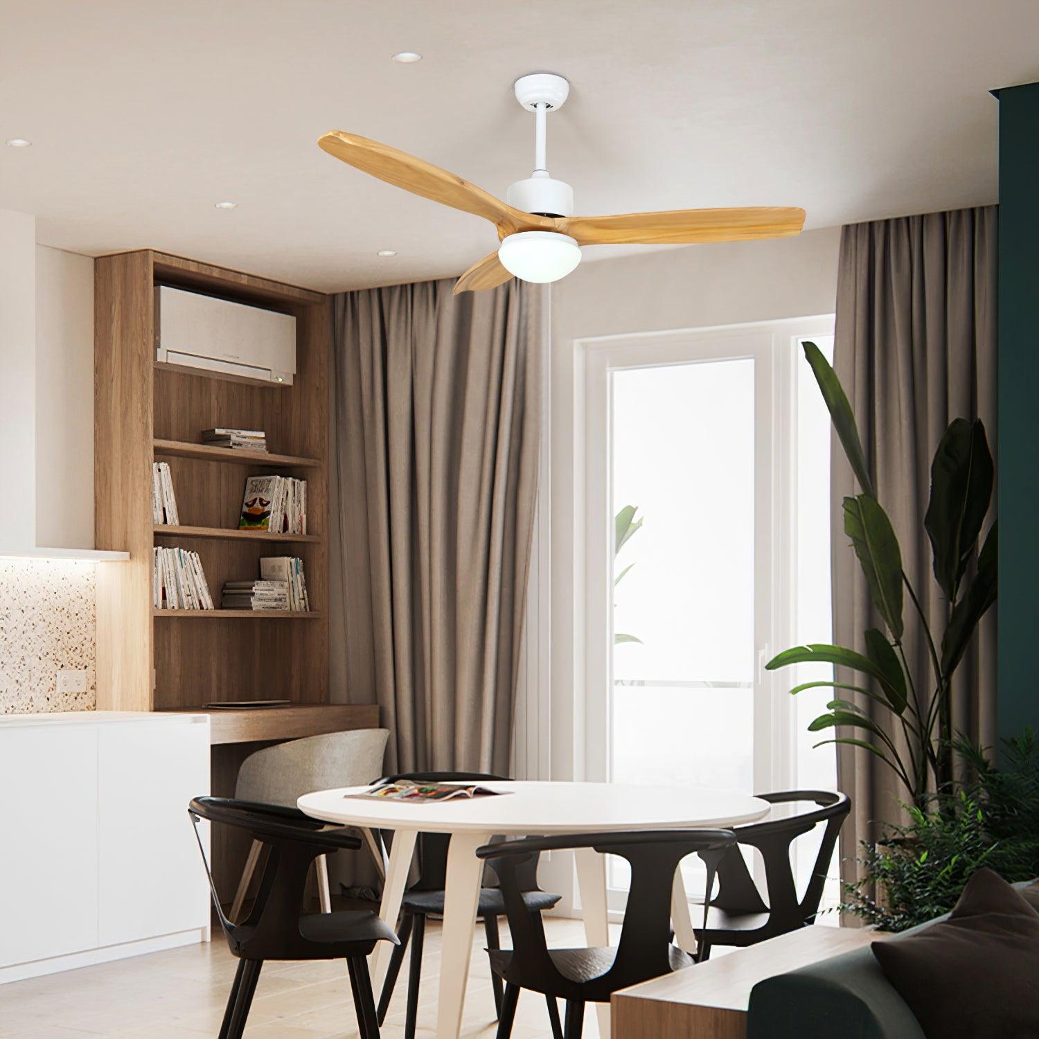 Ventilateur de plafond Duuiné