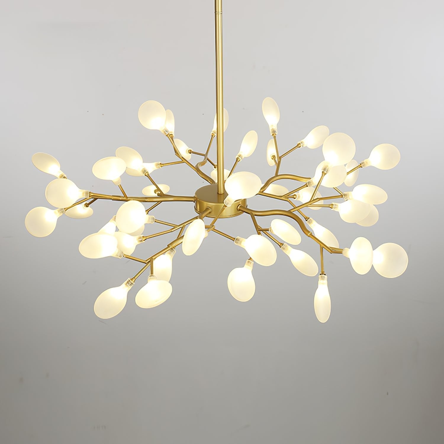 Suspension Beaumont