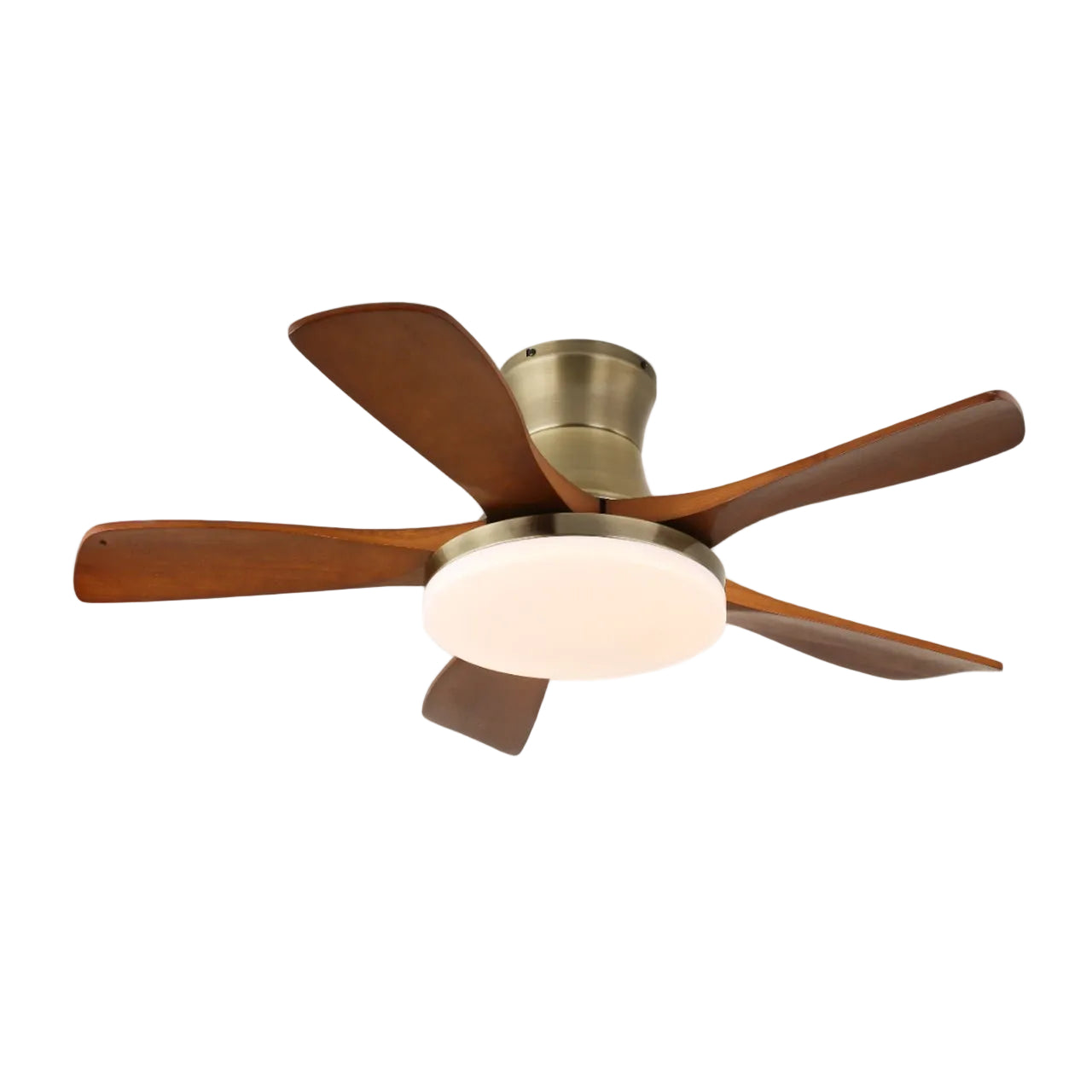 Ventilateur de plafond Iruneo