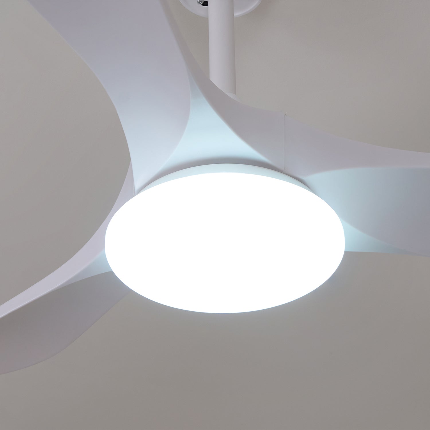 Ventilateur de plafond Favigno