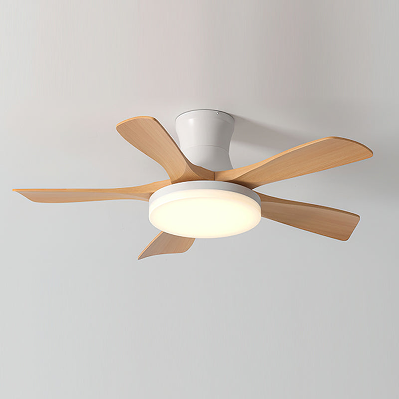 Ventilateur de plafond Vaclove