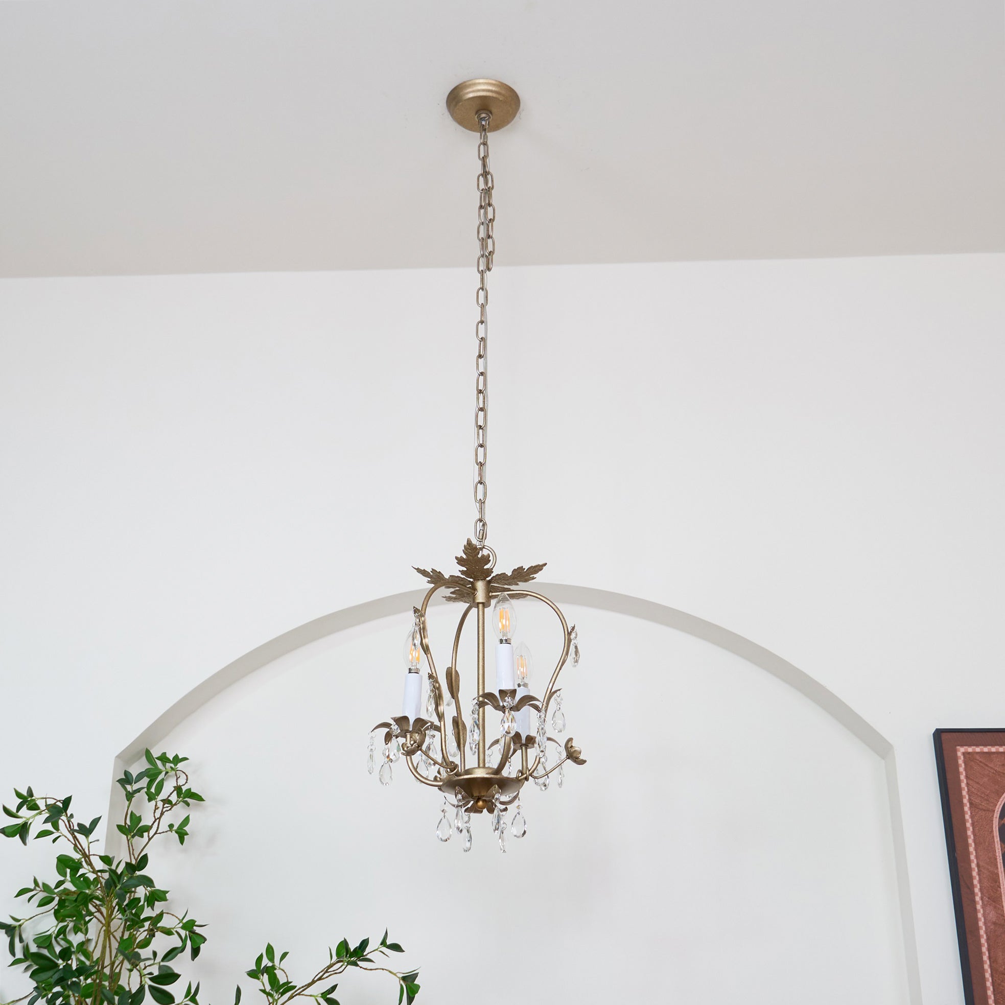 Lustre Olavvaux