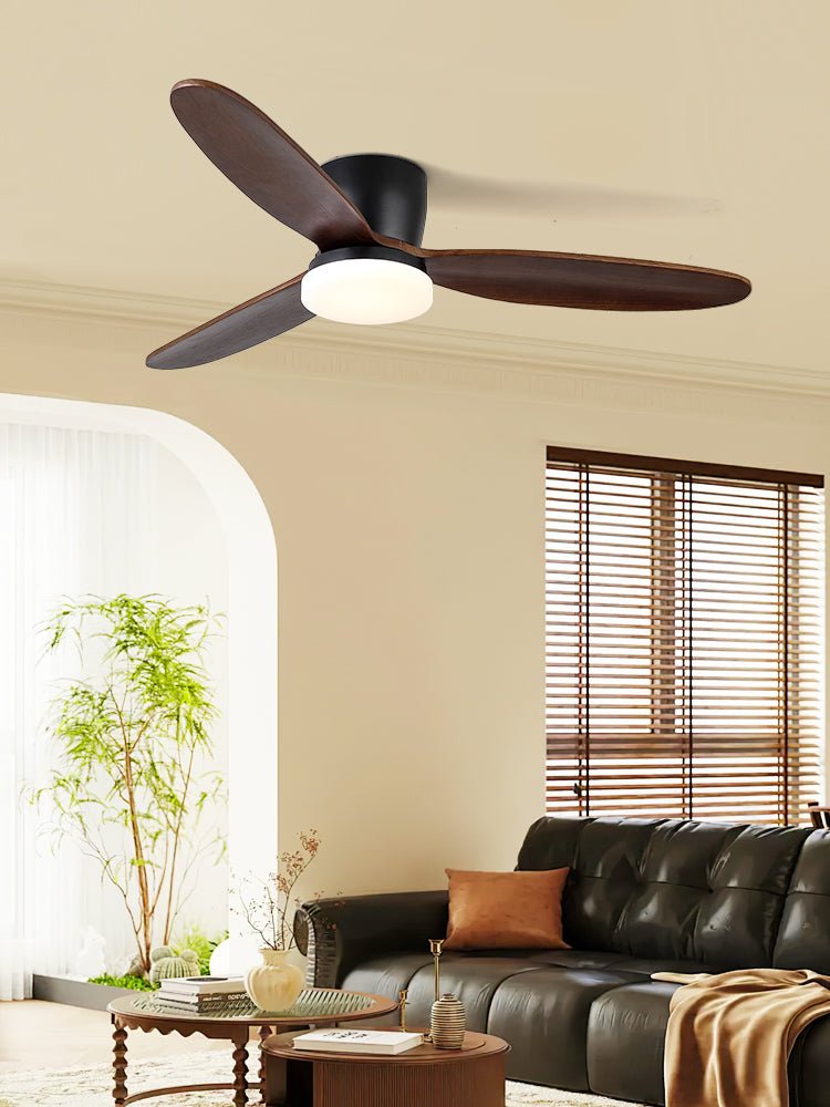 Ventilateur de plafond Quiona