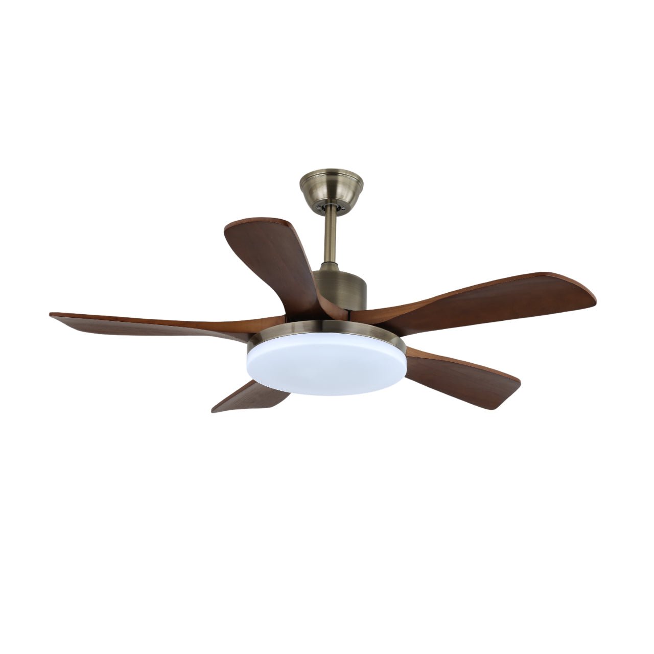 Ventilateur de plafond Liaroris