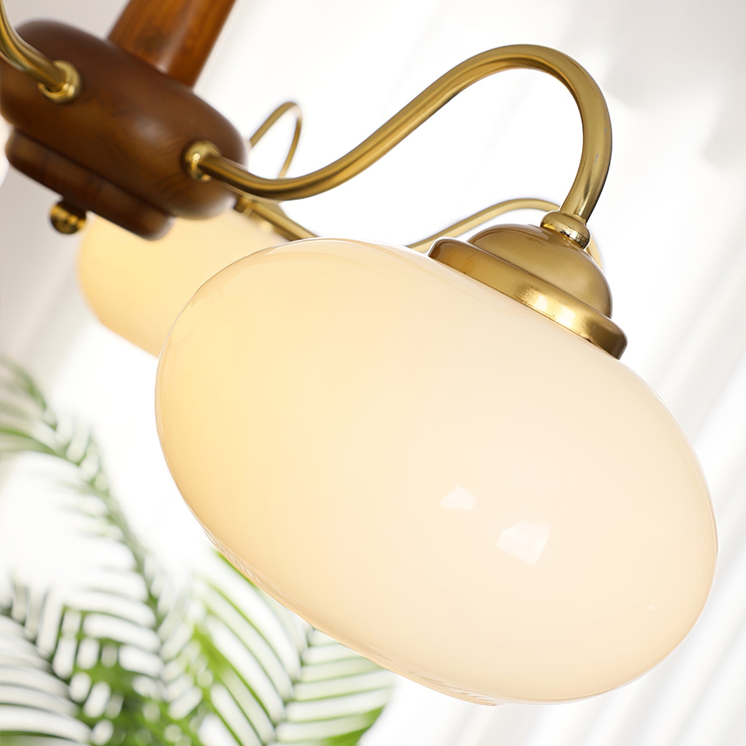 Lustre Joeora