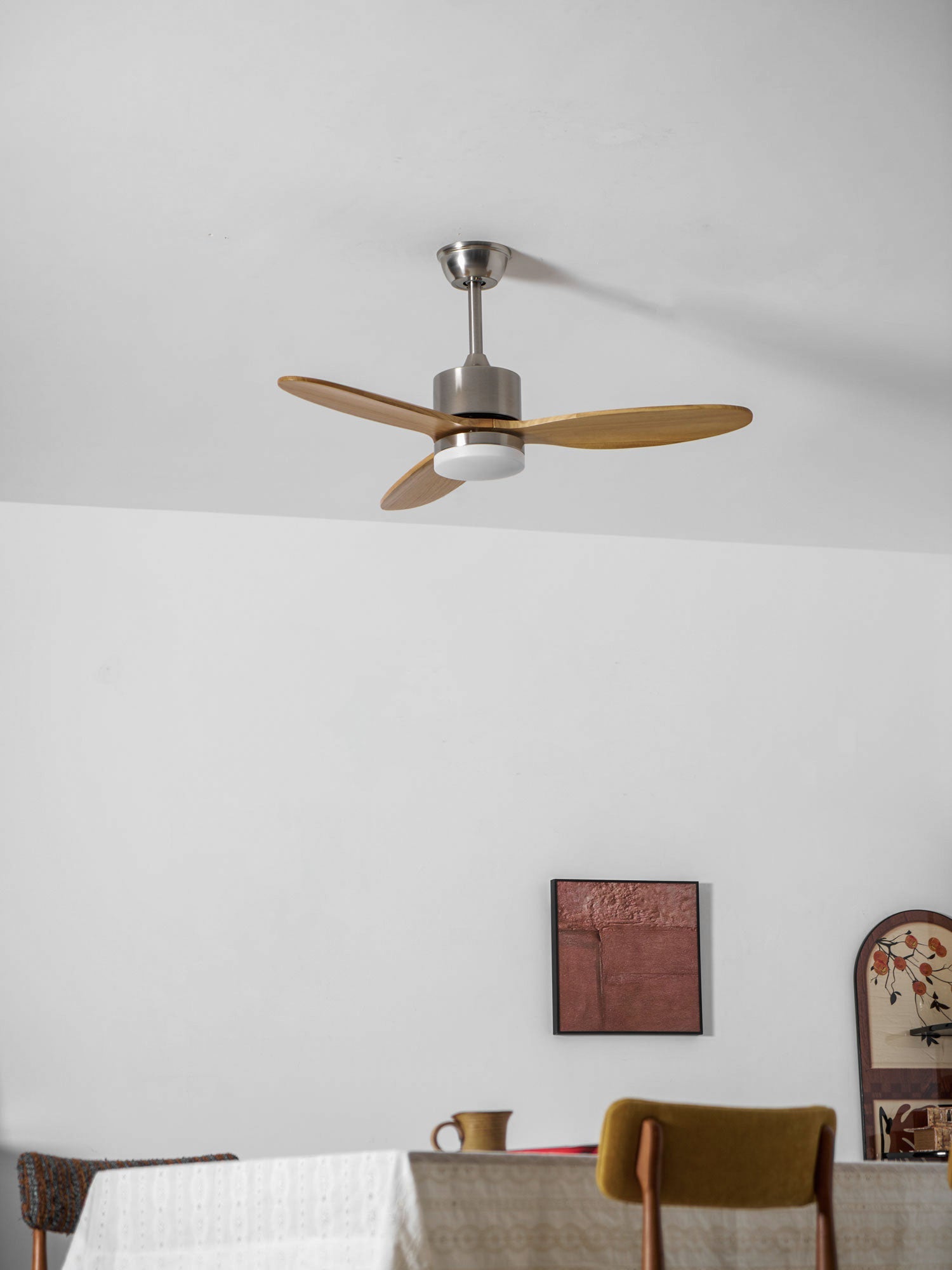 Ventilateur de plafond Belenora