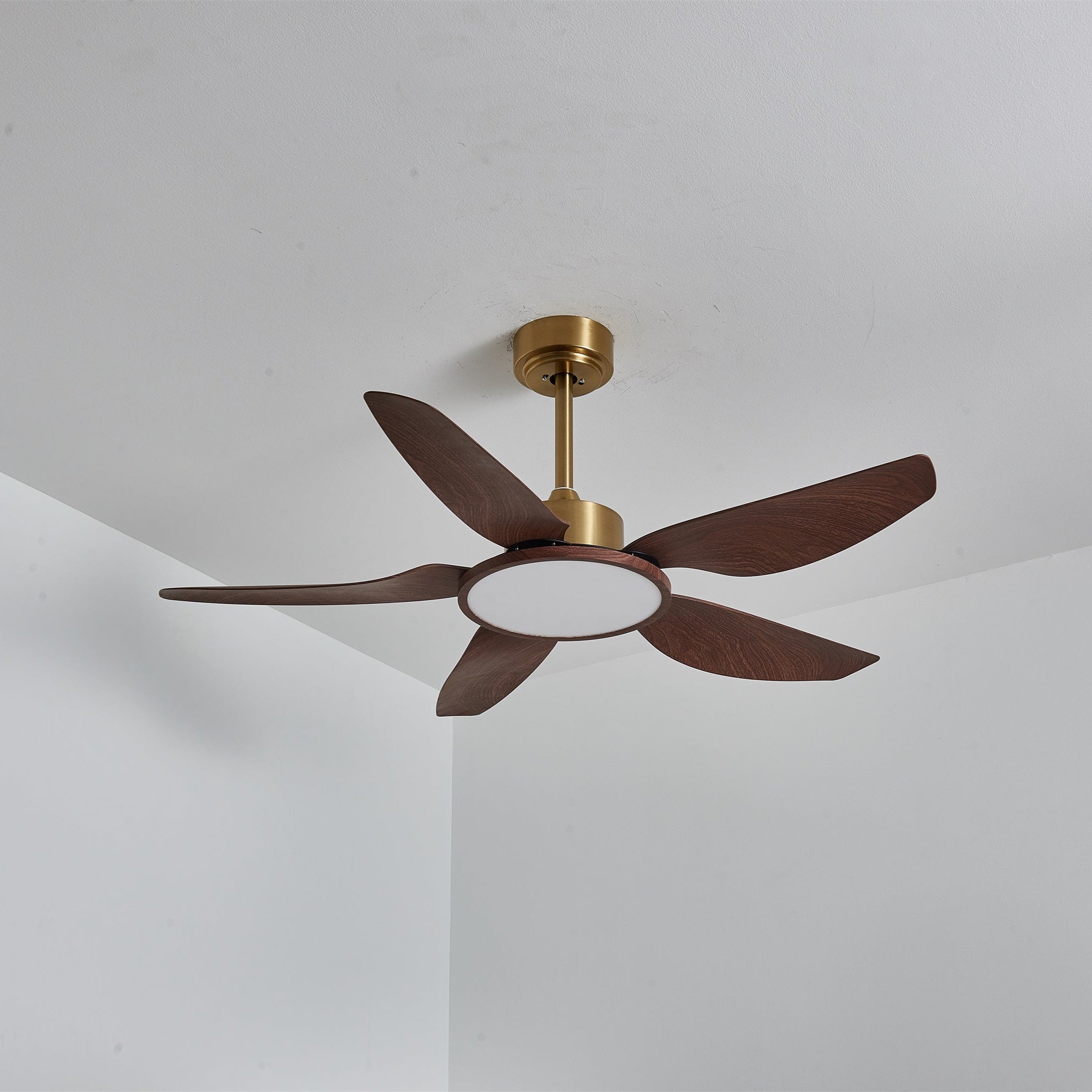 Ventilateur de plafond Torbelvian