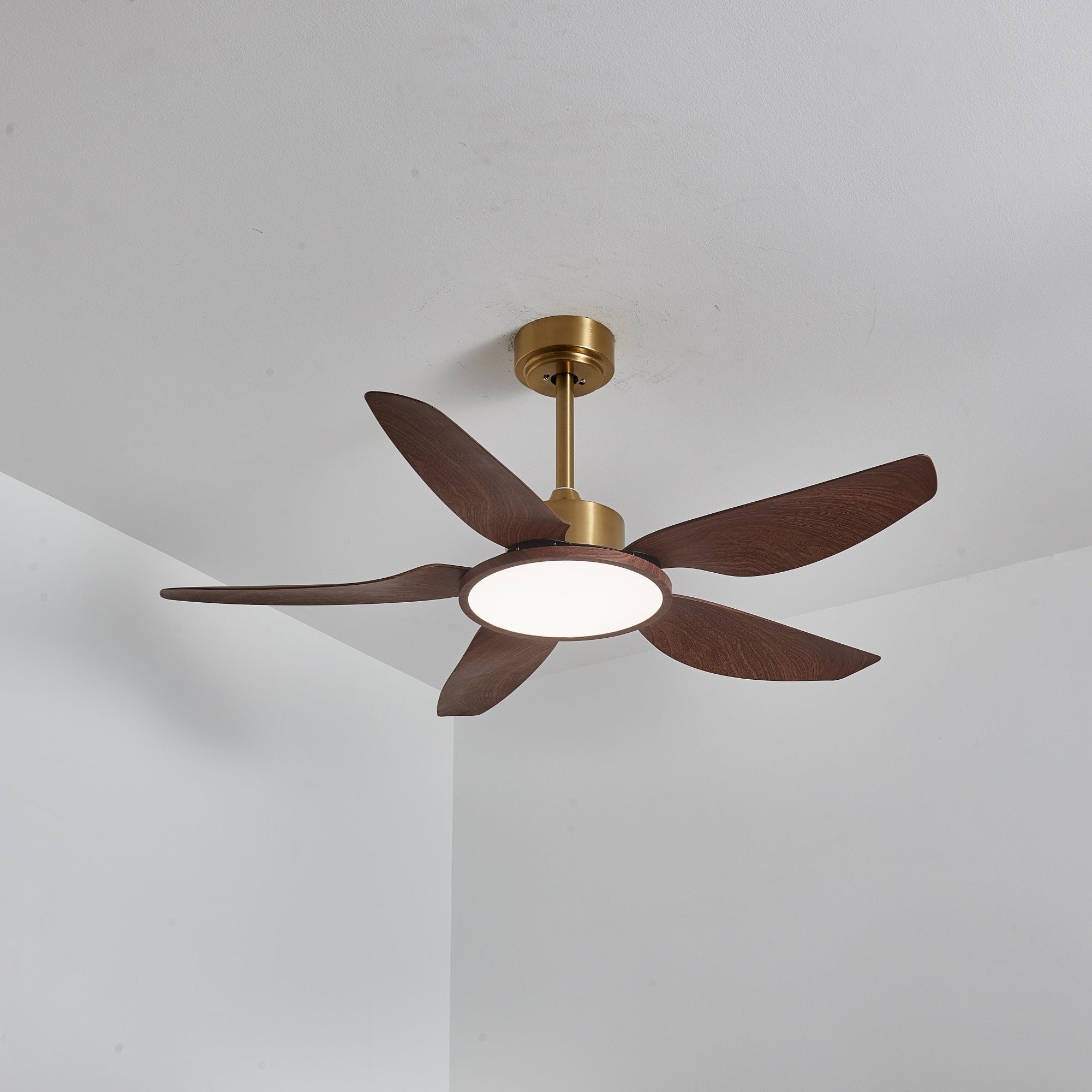 Ventilateur de plafond Torbelvian