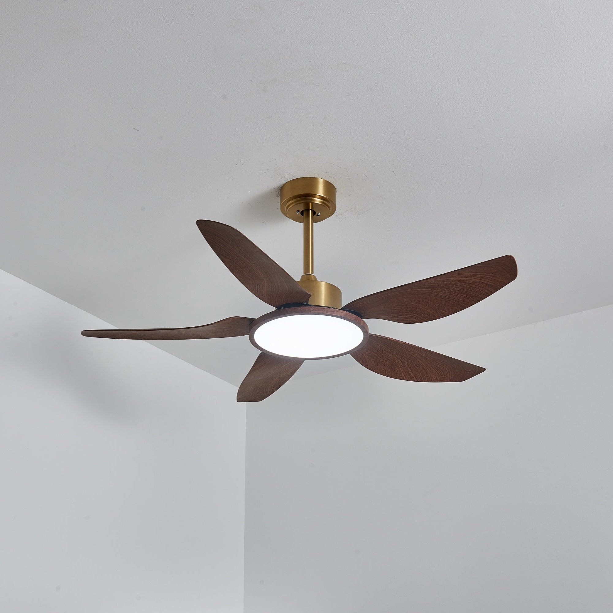 Ventilateur de plafond Torbelvian