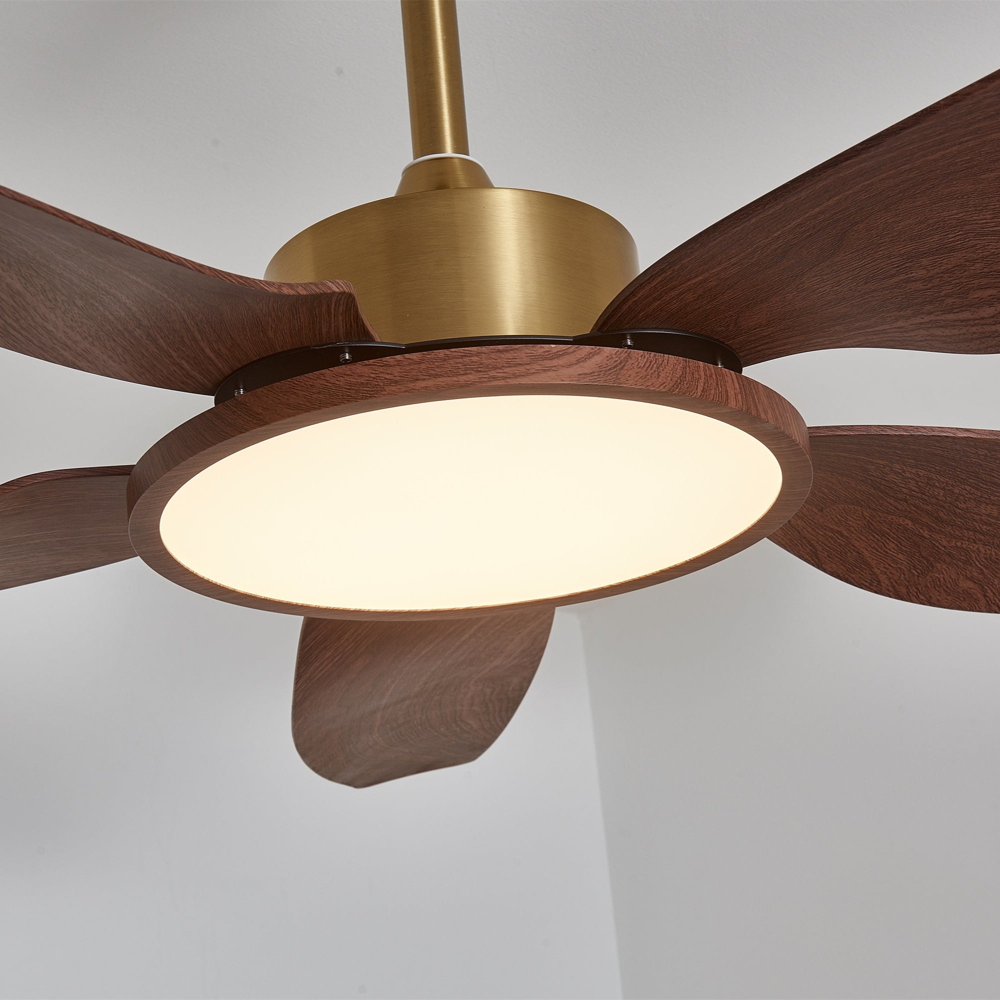 Ventilateur de plafond Torbelvian