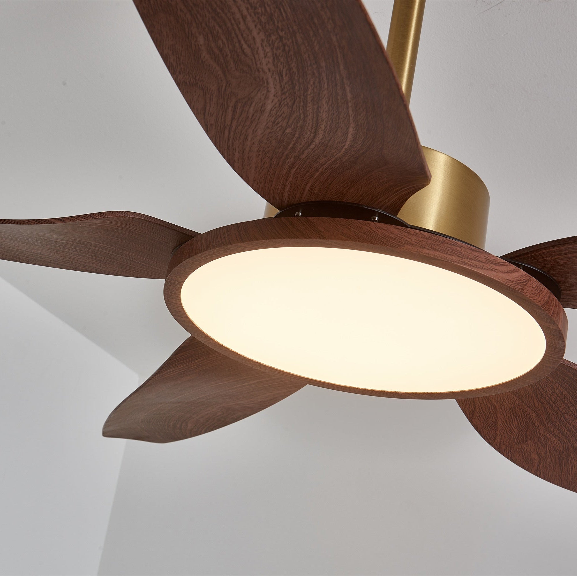 Ventilateur de plafond Torbelvian