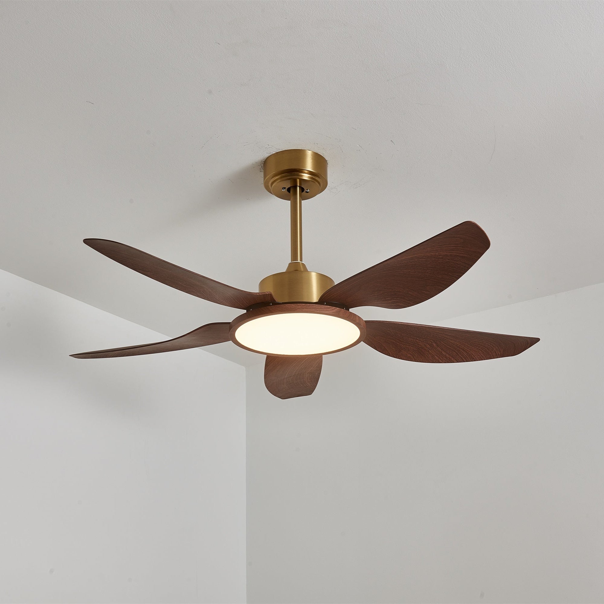 Ventilateur de plafond Torbelvian