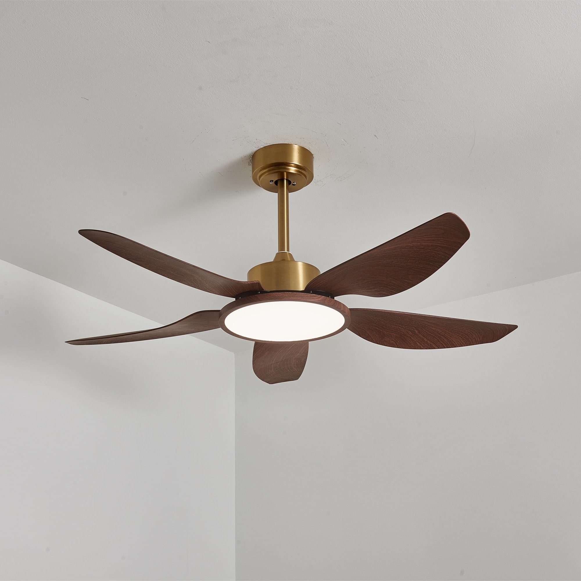 Ventilateur de plafond Torbelvian