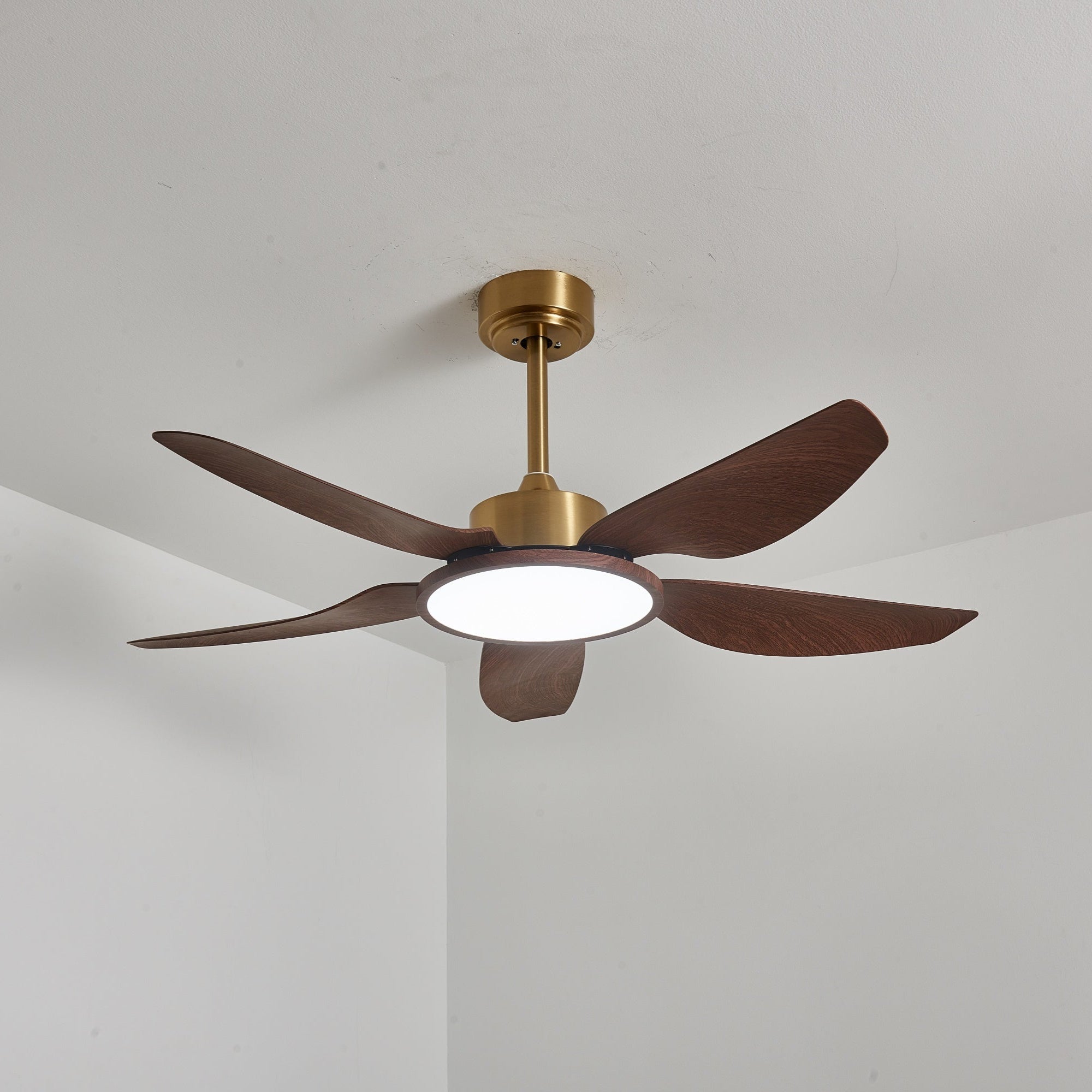 Ventilateur de plafond Torbelvian