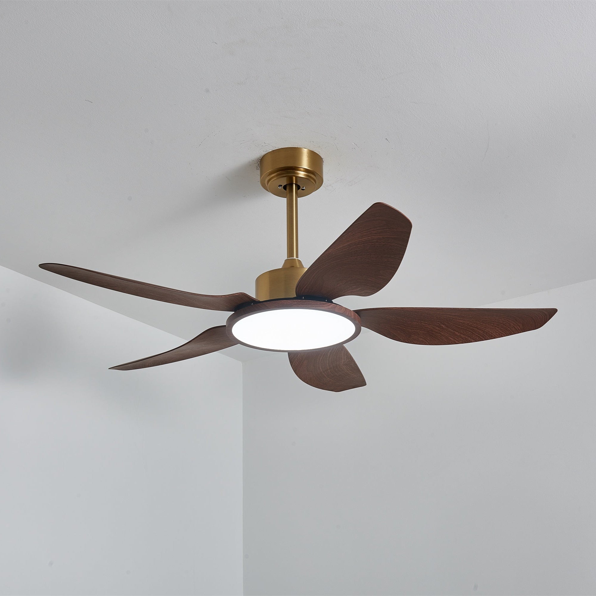 Ventilateur de plafond Torbelvian