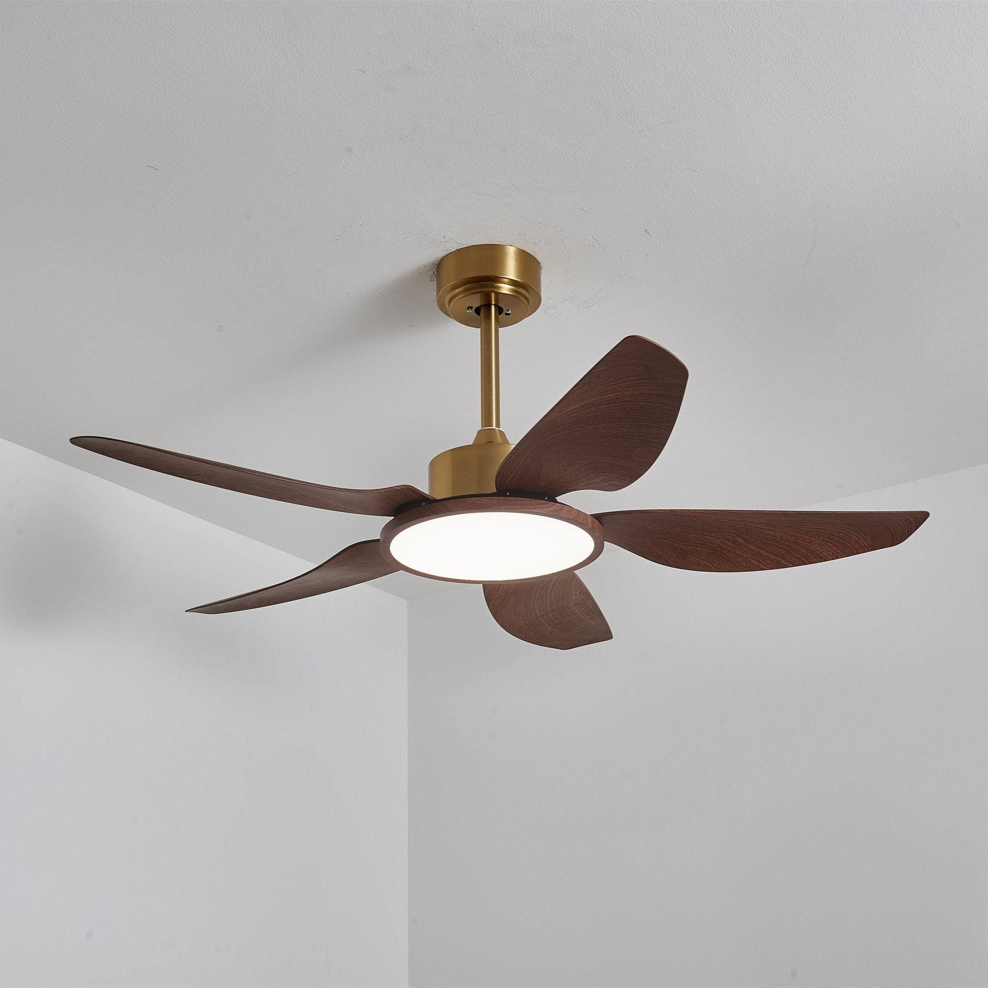 Ventilateur de plafond Torbelvian