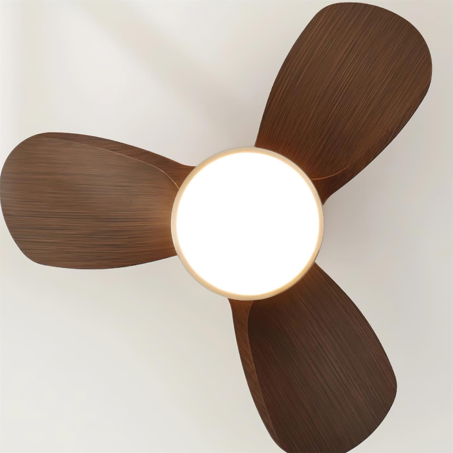 Ventilateur de plafond Velluxor