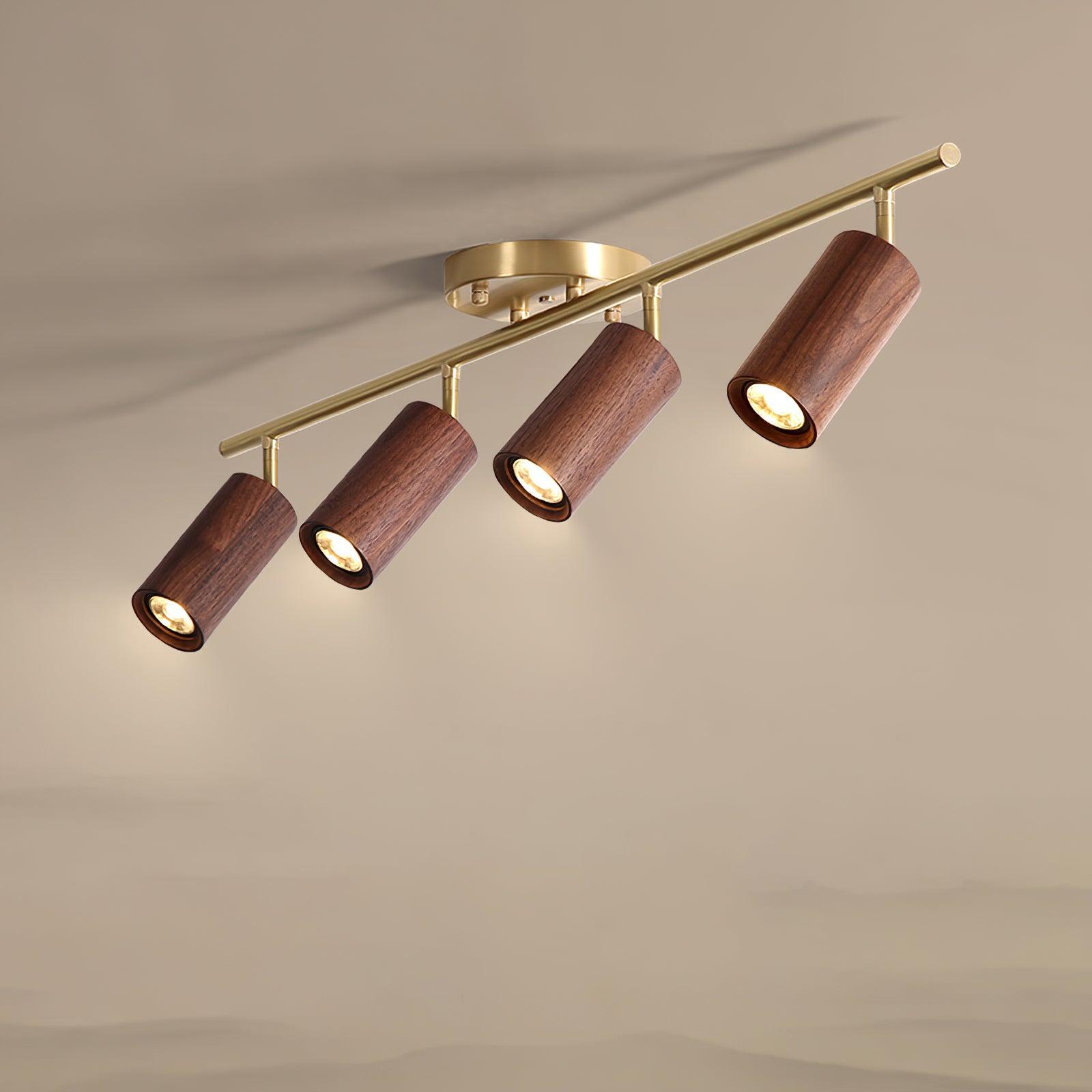Plafonnier orientable Erbélor