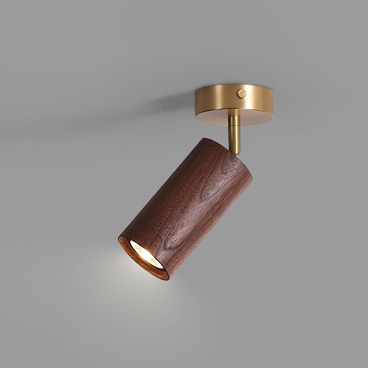 Plafonnier orientable Erbélor