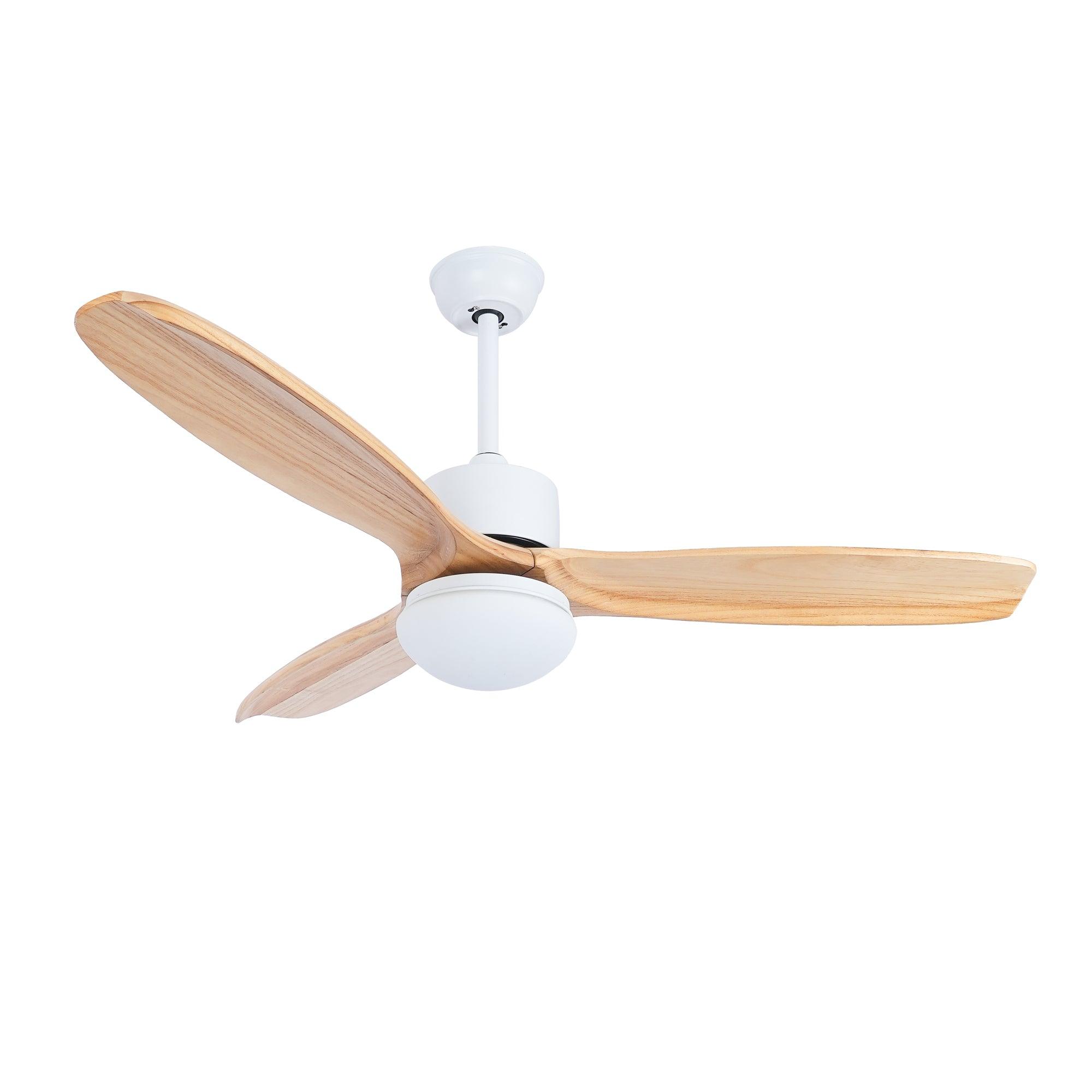 Ventilateur de plafond Duuiné